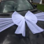 White Organza Car bow