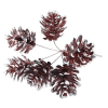 Frosted Pine Cone Bunch