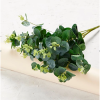 Green Eucalyptus Bush