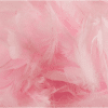 Baby Pink Decorative Feathers