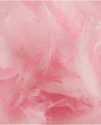 Baby Pink Decorative Feathers