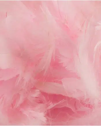 Baby Pink Decorative Feathers