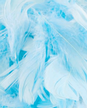 Blue Decorative Feathers