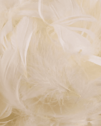 Ivory Decorative Feathers