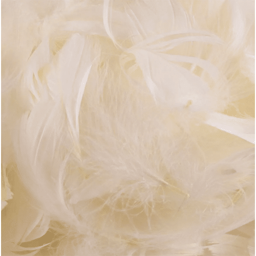 Ivory Decorative Feathers