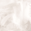 White Decorative Feathers -